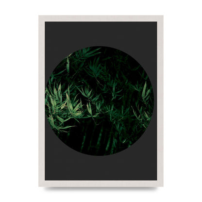 Black Back Green Plant Disc Series Eight Printed Poster - A3 framed