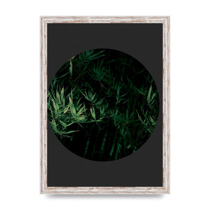 Black Back Green Plant Disc Series Eight Printed Poster - A3 framed