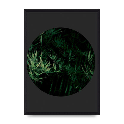 Black Back Green Plant Disc Series Eight Printed Poster - A3 framed