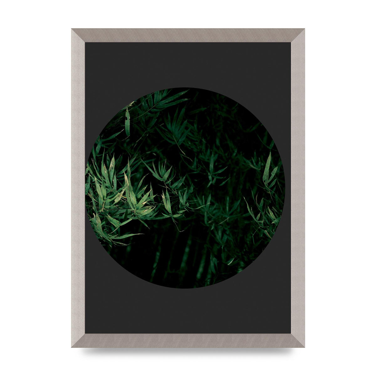 Black Back Green Plant Disc Series Eight Printed Poster - A3 framed