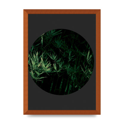 Black Back Green Plant Disc Series Eight Printed Poster - A3 framed