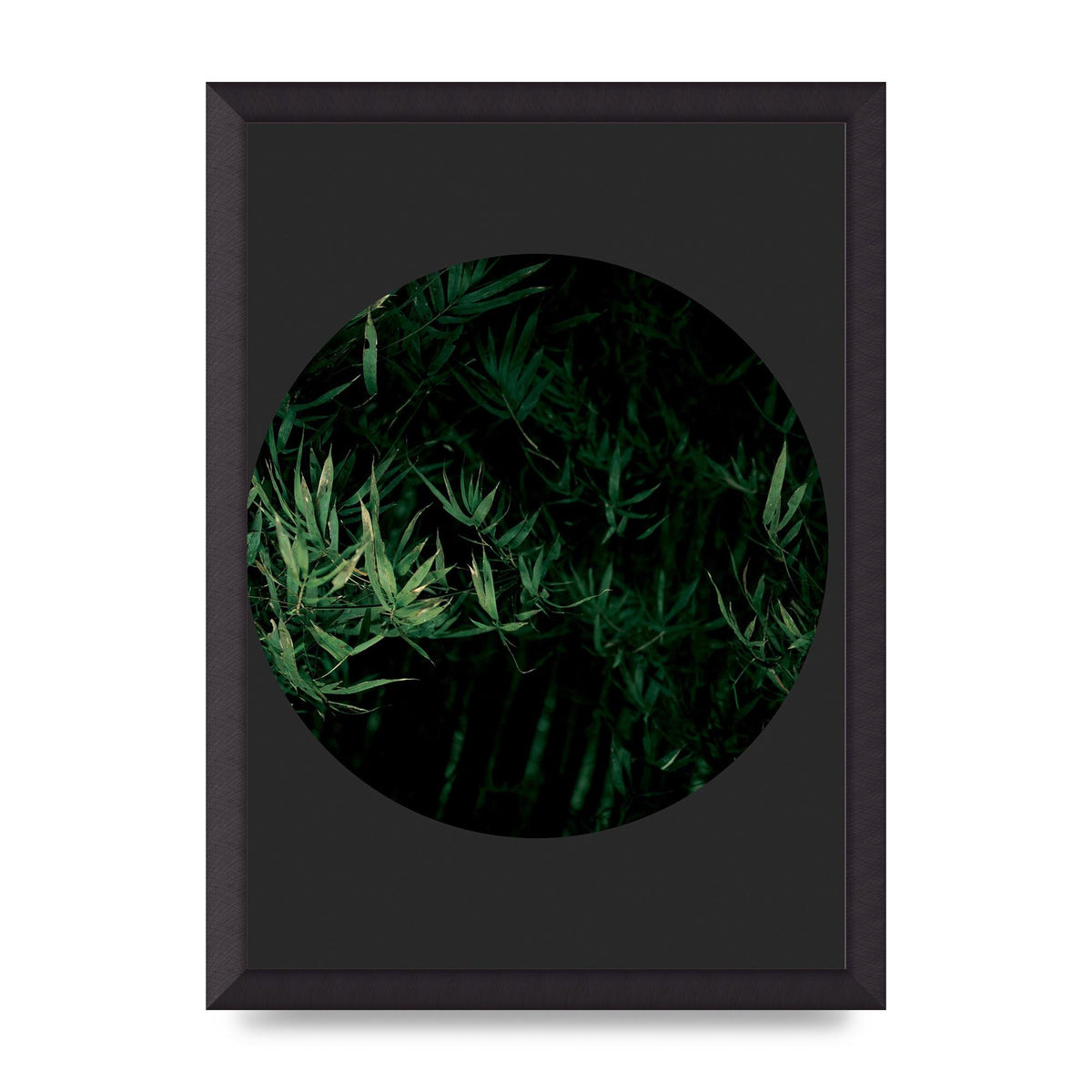 Black Back Green Plant Disc Series Eight Printed Poster - A3 framed