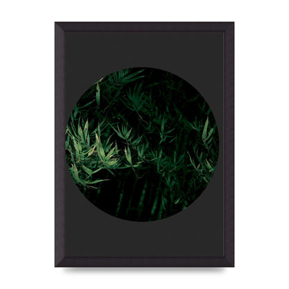 Black Back Green Plant Disc Series Eight Printed Poster - A3 framed