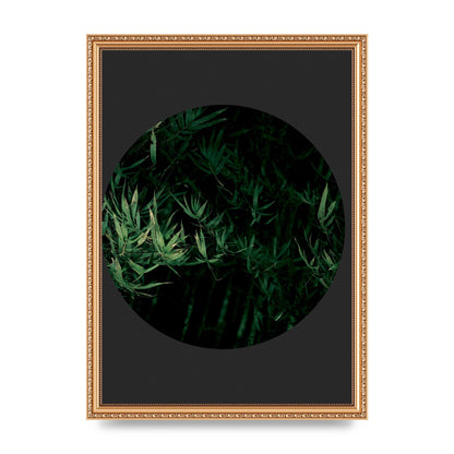 Black Back Green Plant Disc Series Eight Printed Poster - A3 framed