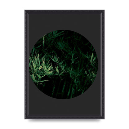 Black Back Green Plant Disc Series Eight Printed Poster - A3 framed