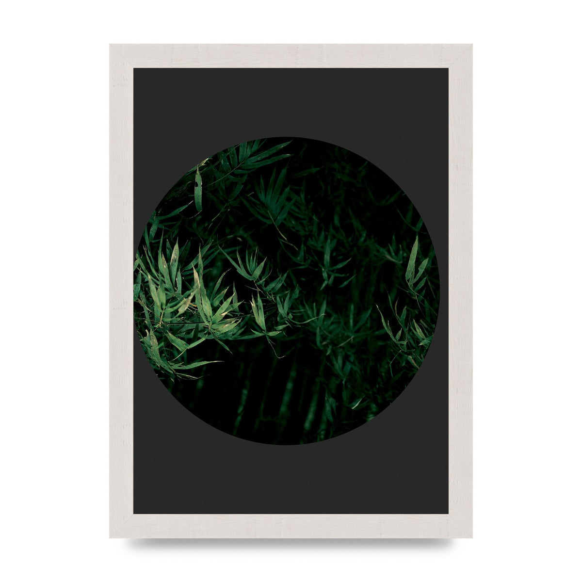 Black Back Green Plant Disc Series Eight Printed Poster - A4 framed