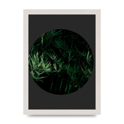 Black Back Green Plant Disc Series Eight Printed Poster - A4 framed