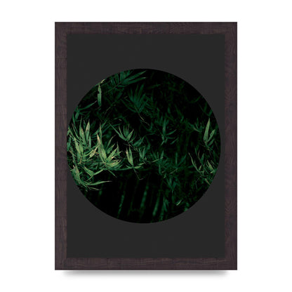 Black Back Green Plant Disc Series Eight Printed Poster - A4 framed