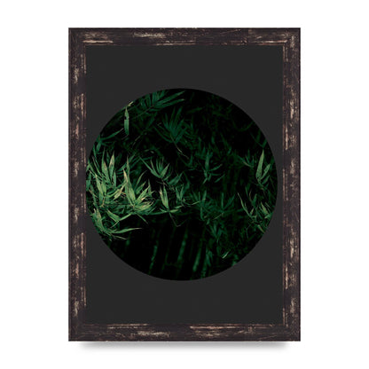 Black Back Green Plant Disc Series Eight Printed Poster - A4 framed