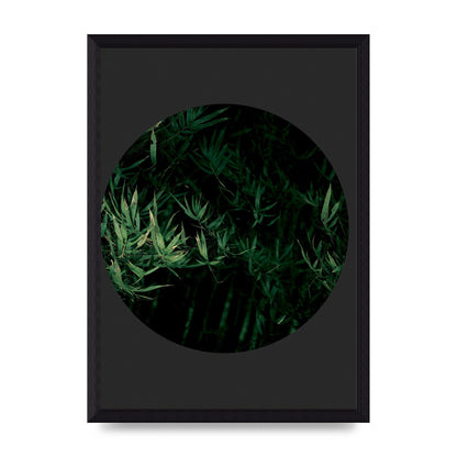 Black Back Green Plant Disc Series Eight Printed Poster - A4 framed