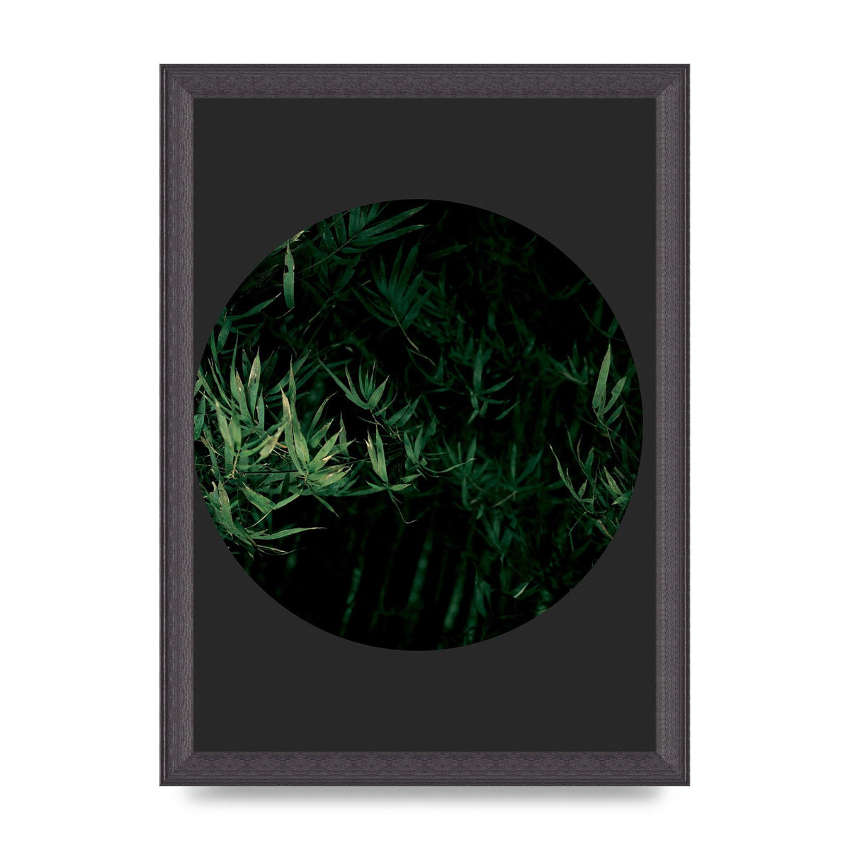 Black Back Green Plant Disc Series Eight Printed Poster - A4 framed