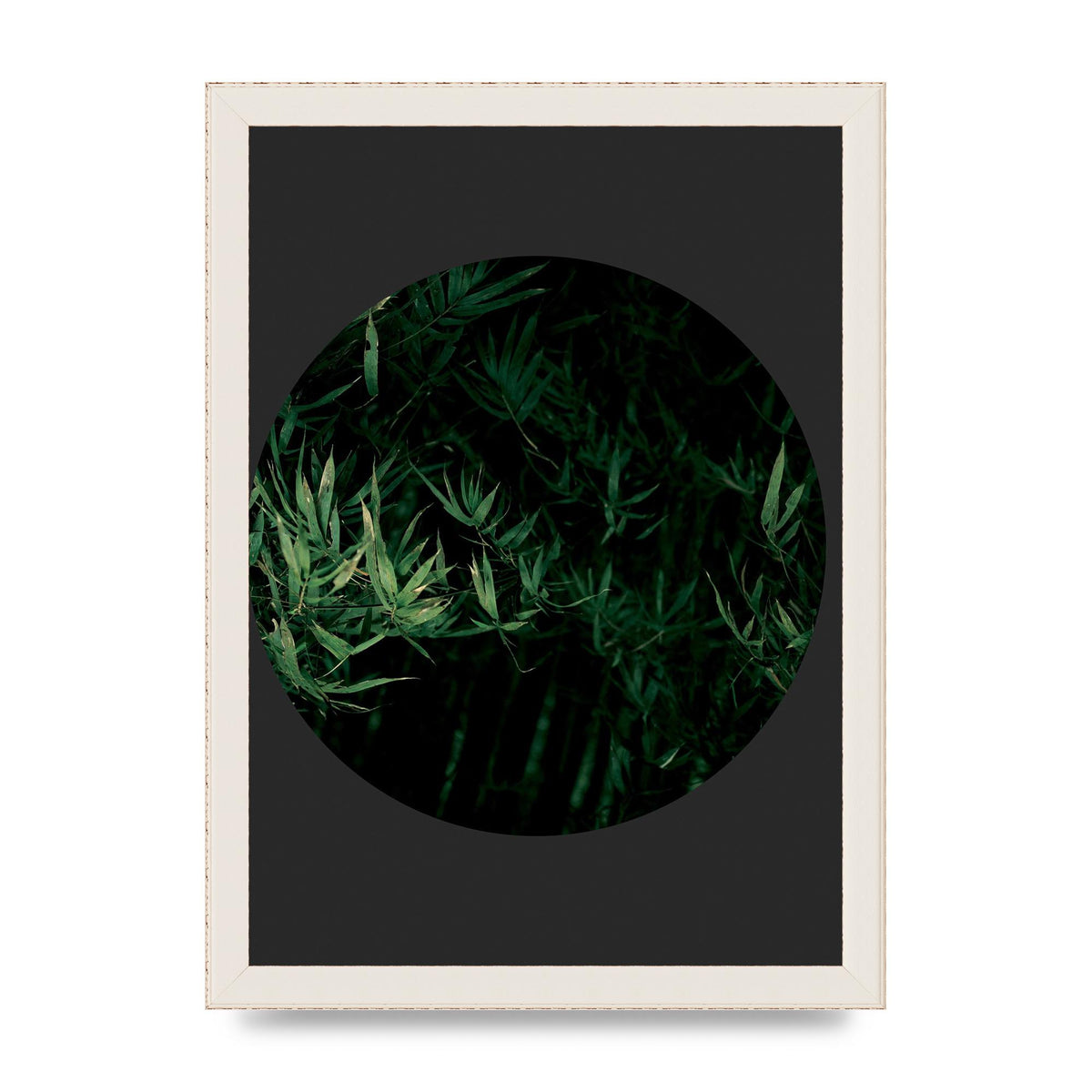 Black Back Green Plant Disc Series Eight Printed Poster - A4 framed