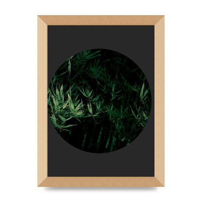 Black Back Green Plant Disc Series Eight Printed Poster - A4 framed