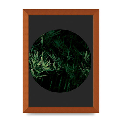Black Back Green Plant Disc Series Eight Printed Poster - A4 framed