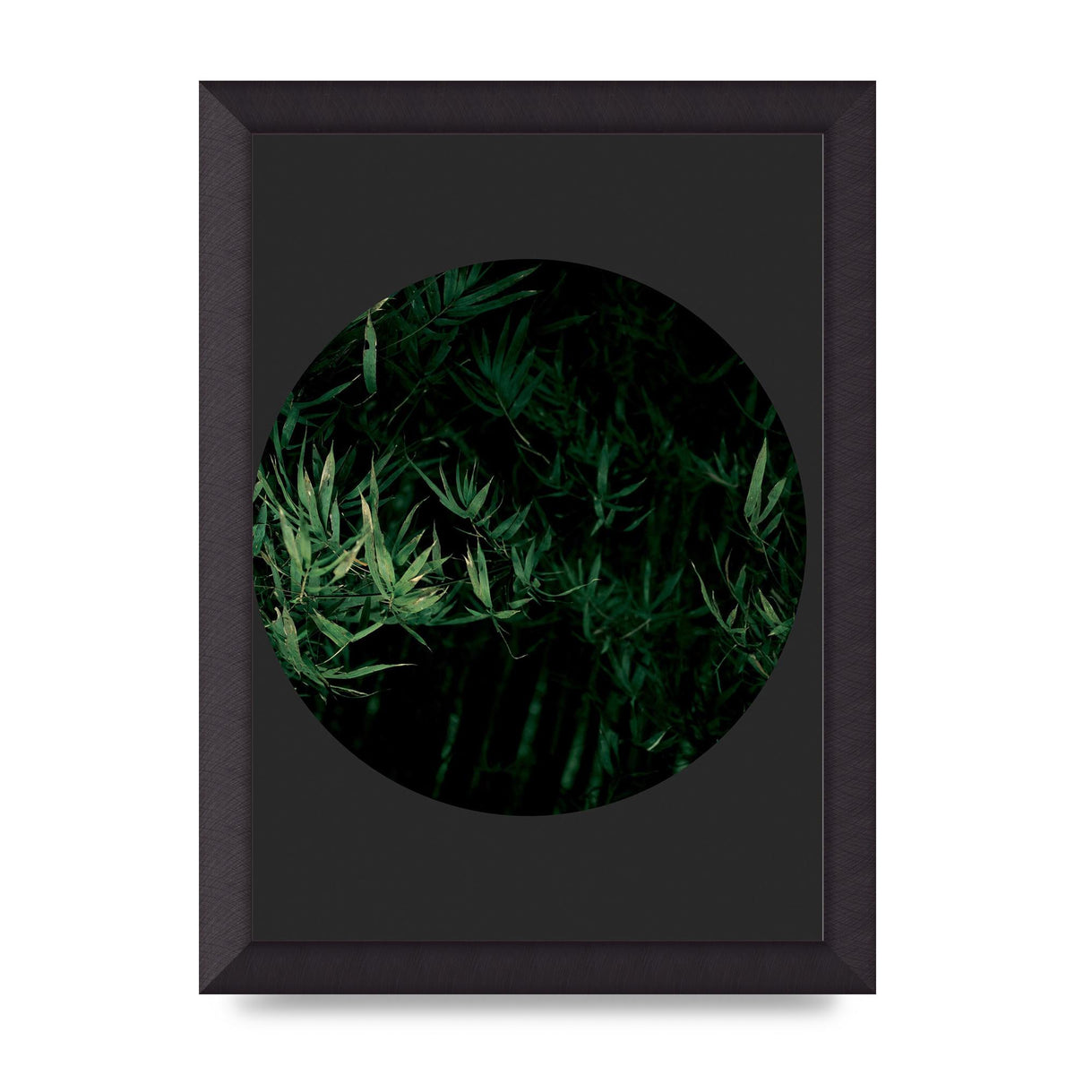 Black Back Green Plant Disc Series Eight Printed Poster - A4 framed