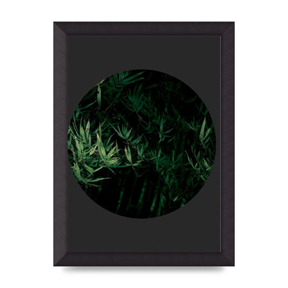Black Back Green Plant Disc Series Eight Printed Poster - A4 framed