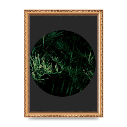 Black Back Green Plant Disc Series Eight Printed Poster - A4 framed