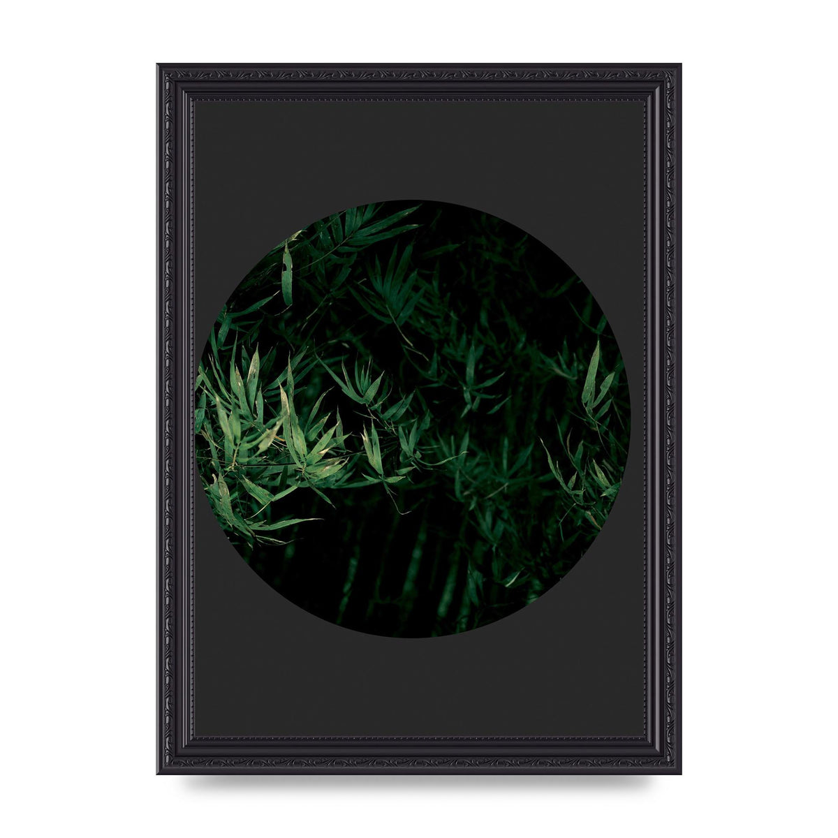 Black Back Green Plant Disc Series Eight Printed Poster - A4 framed