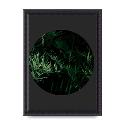 Black Back Green Plant Disc Series Eight Printed Poster - A4 framed