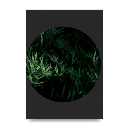 Black Back Green Plant Disc Series Eight Printed Poster - unframed print