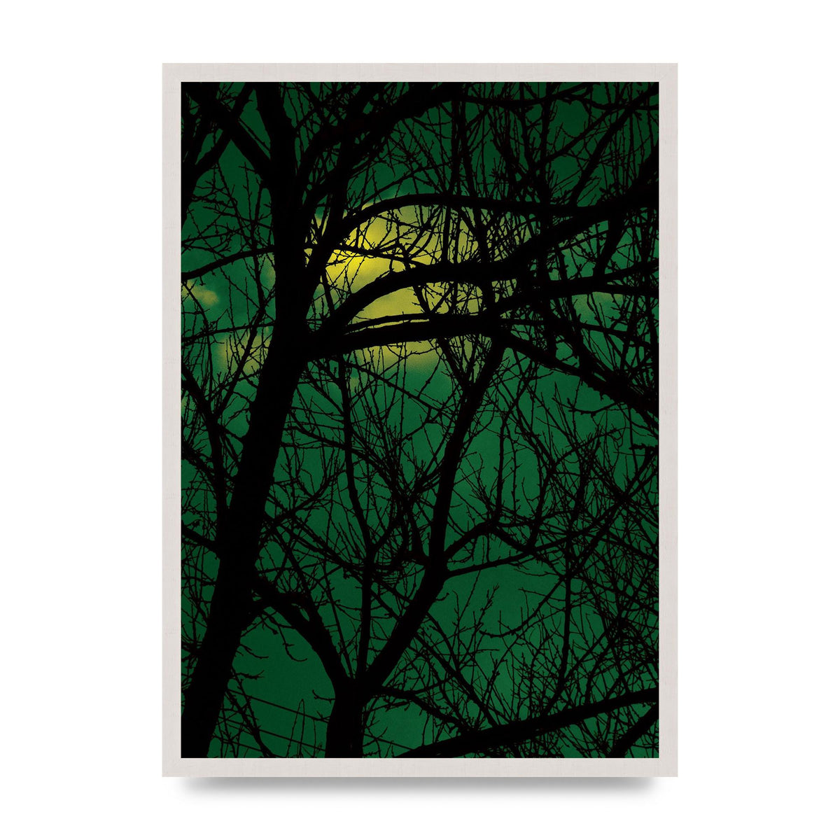 Sunset Through Trees Green Art For The Home - A2 framed