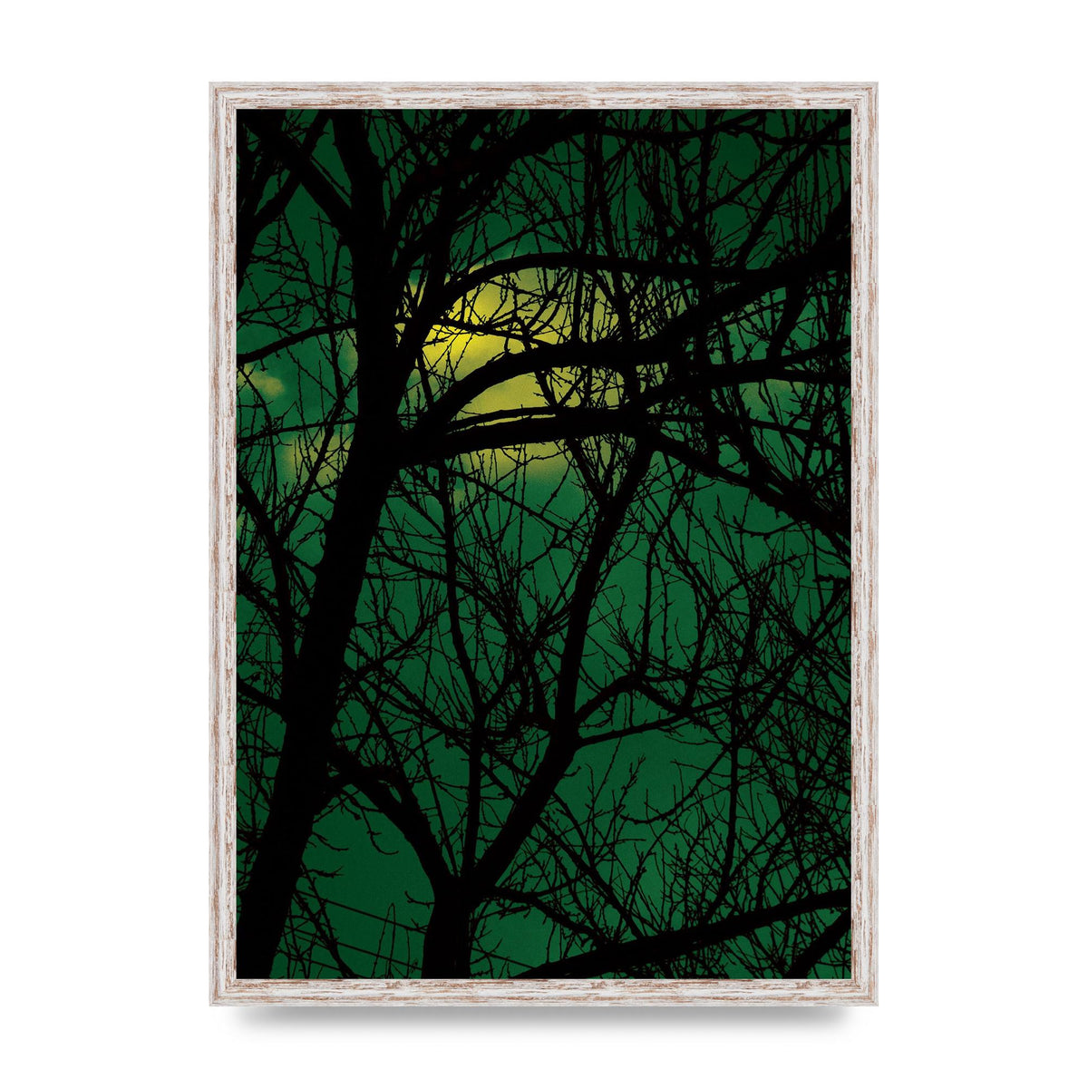 Sunset Through Trees Green Art For The Home - A2 framed
