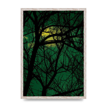 Sunset Through Trees Green Art For The Home - A2 framed