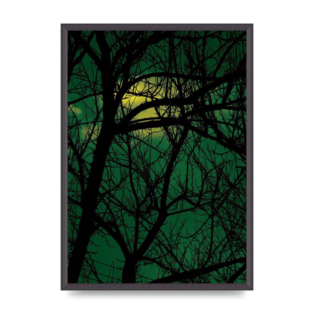 Sunset Through Trees Green Art For The Home - A2 framed