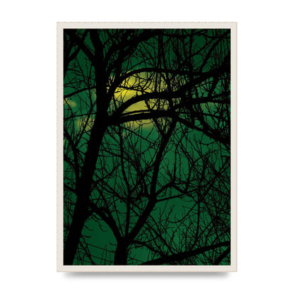 Sunset Through Trees Green Art For The Home - A2 framed