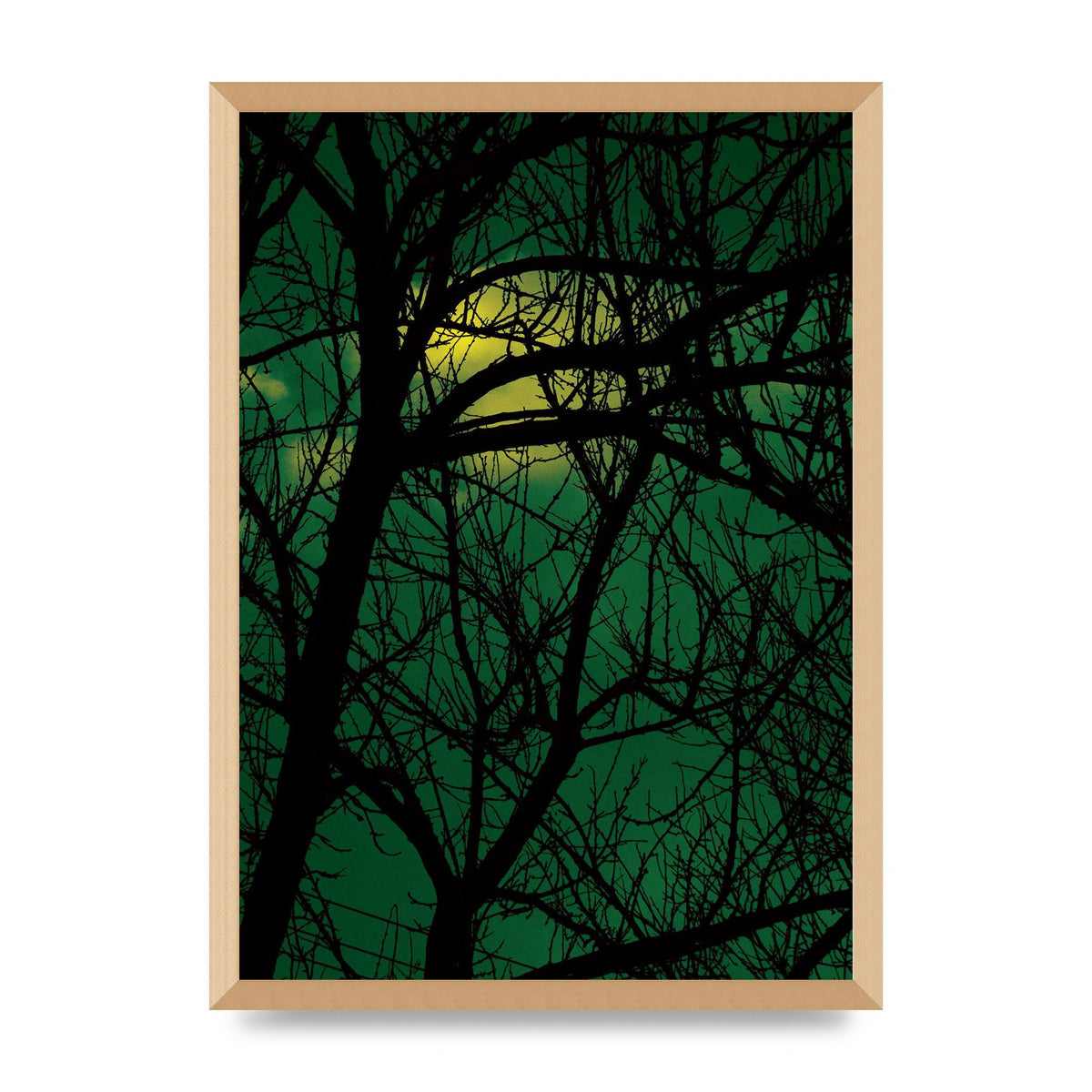 Sunset Through Trees Green Art For The Home - A2 framed