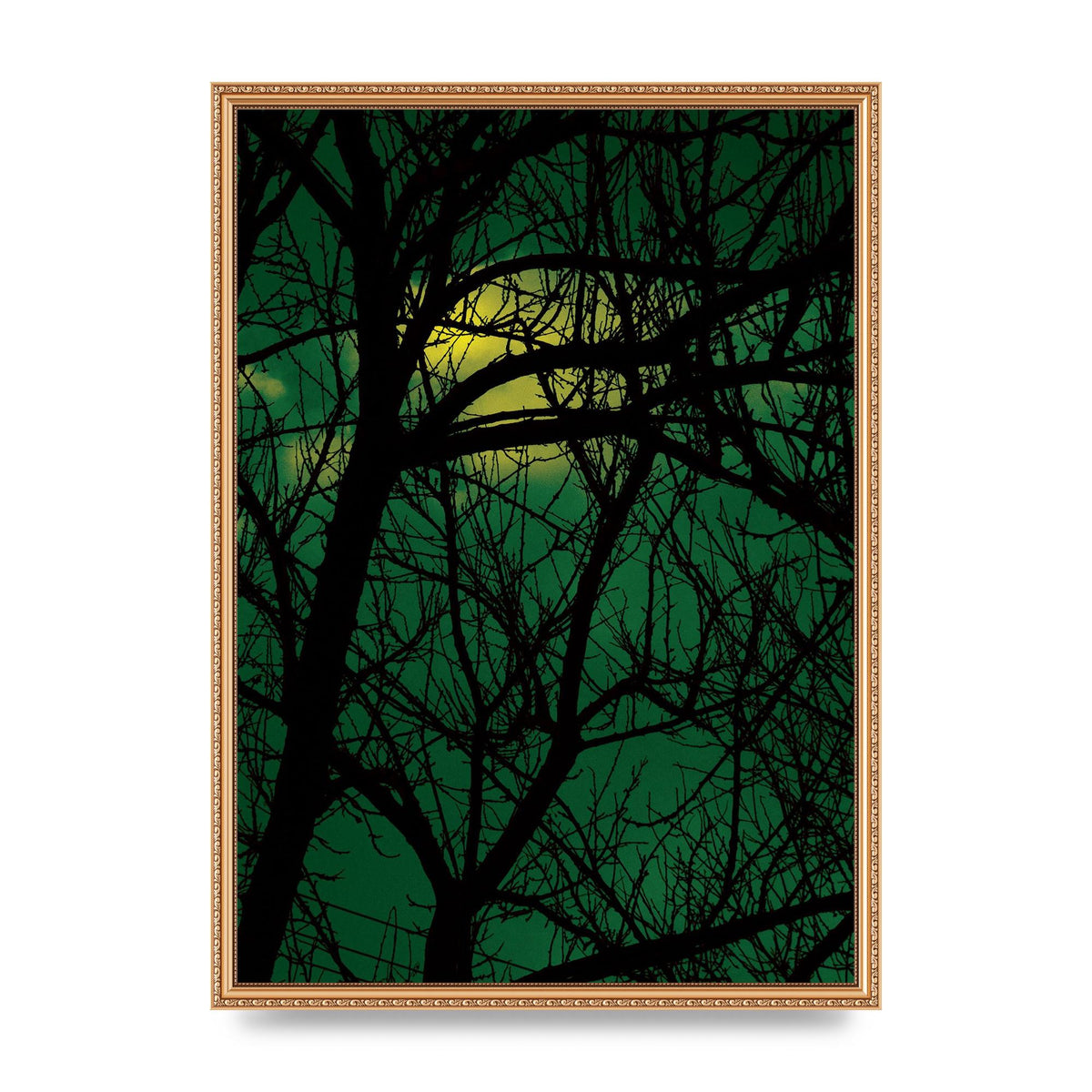 Sunset Through Trees Green Art For The Home - A2 framed