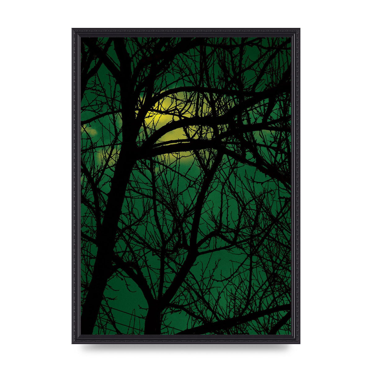 Sunset Through Trees Green Art For The Home - A2 framed