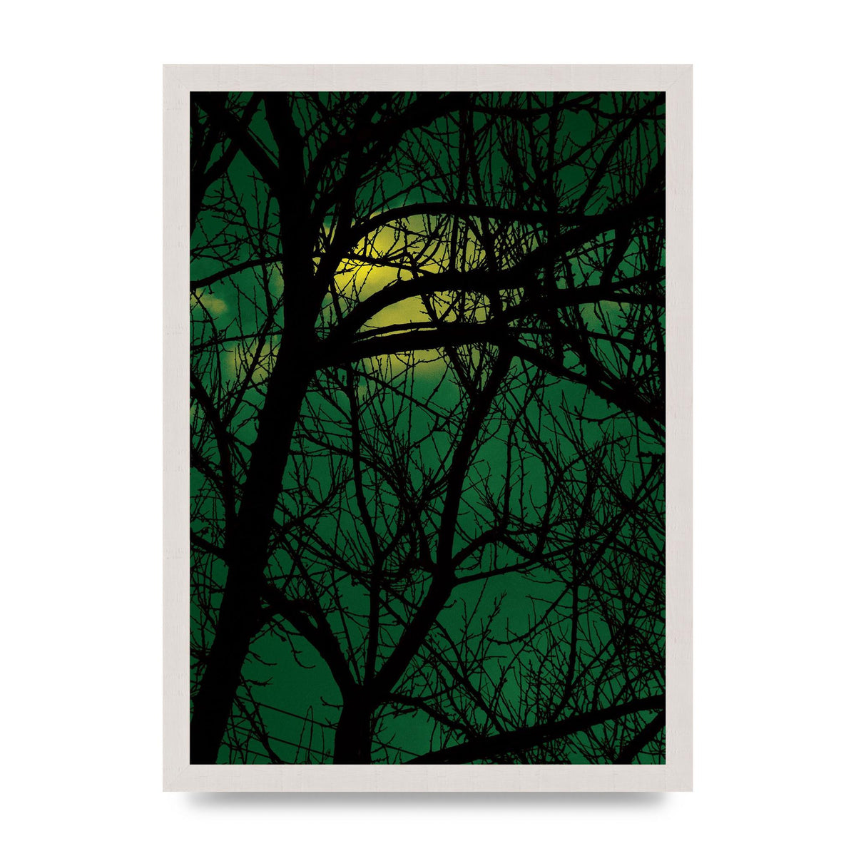 Sunset Through Trees Green Art For The Home - A3 framed