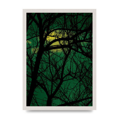 Sunset Through Trees Green Art For The Home - A3 framed