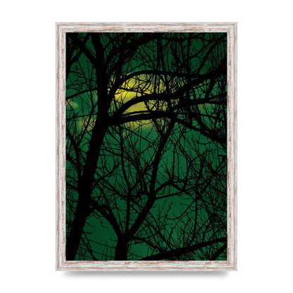 Sunset Through Trees Green Art For The Home - A3 framed