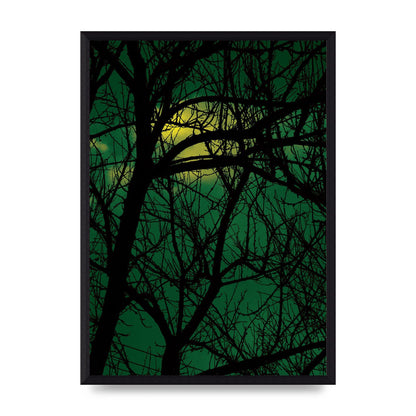 Sunset Through Trees Green Art For The Home - A3 framed