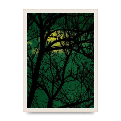 Sunset Through Trees Green Art For The Home - A3 framed