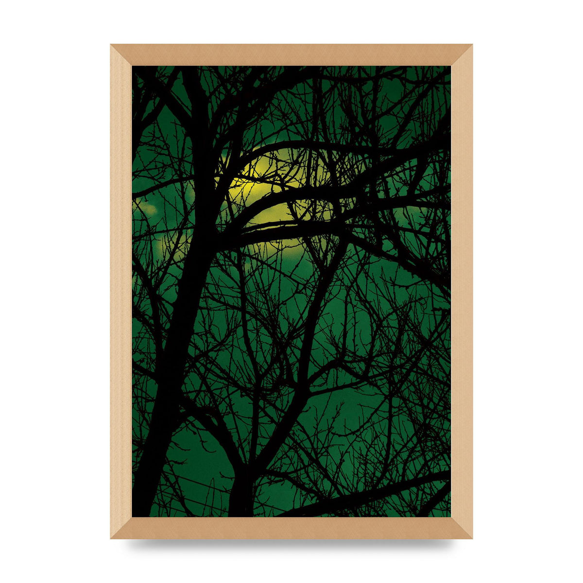 Sunset Through Trees Green Art For The Home - A3 framed