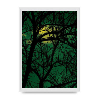 Sunset Through Trees Green Art For The Home - A3 framed