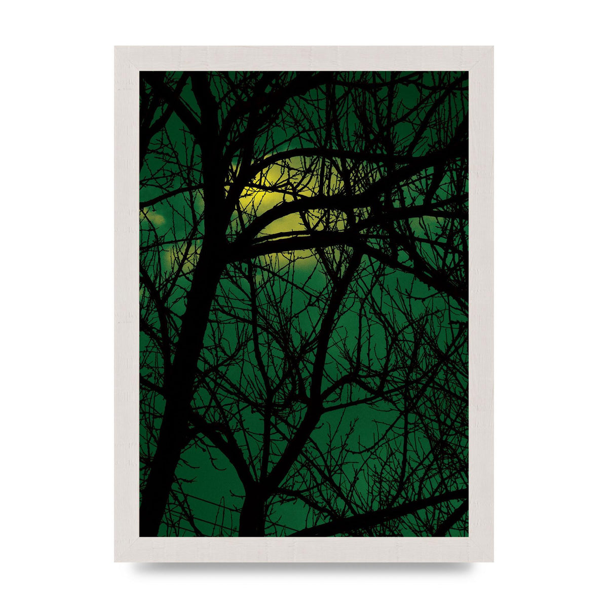 Sunset Through Trees Green Art For The Home - A4 framed