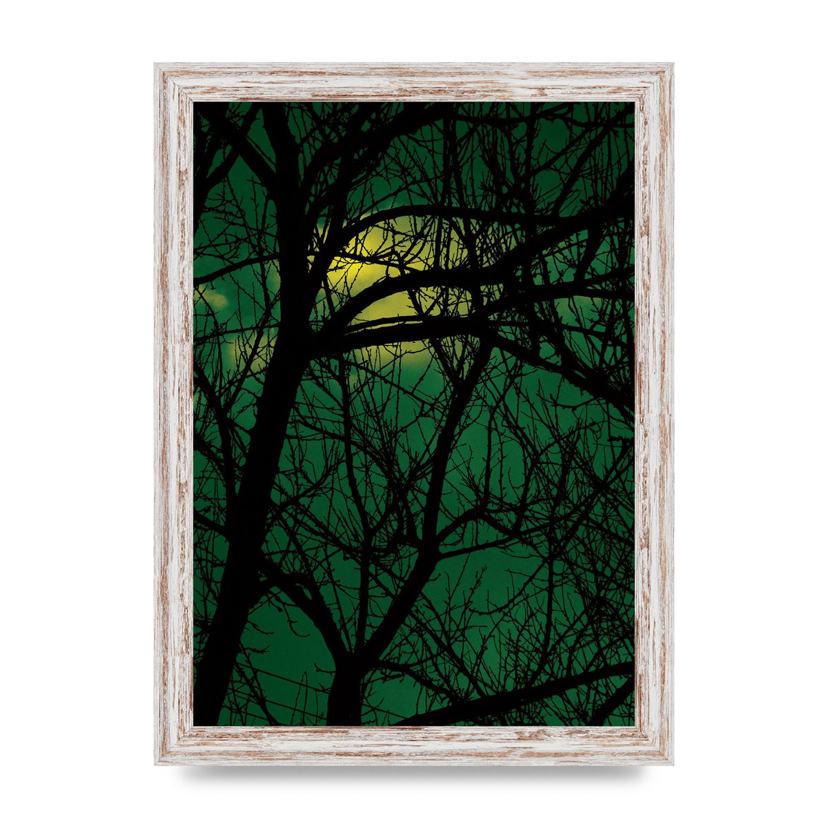 Sunset Through Trees Green Art For The Home - A4 framed