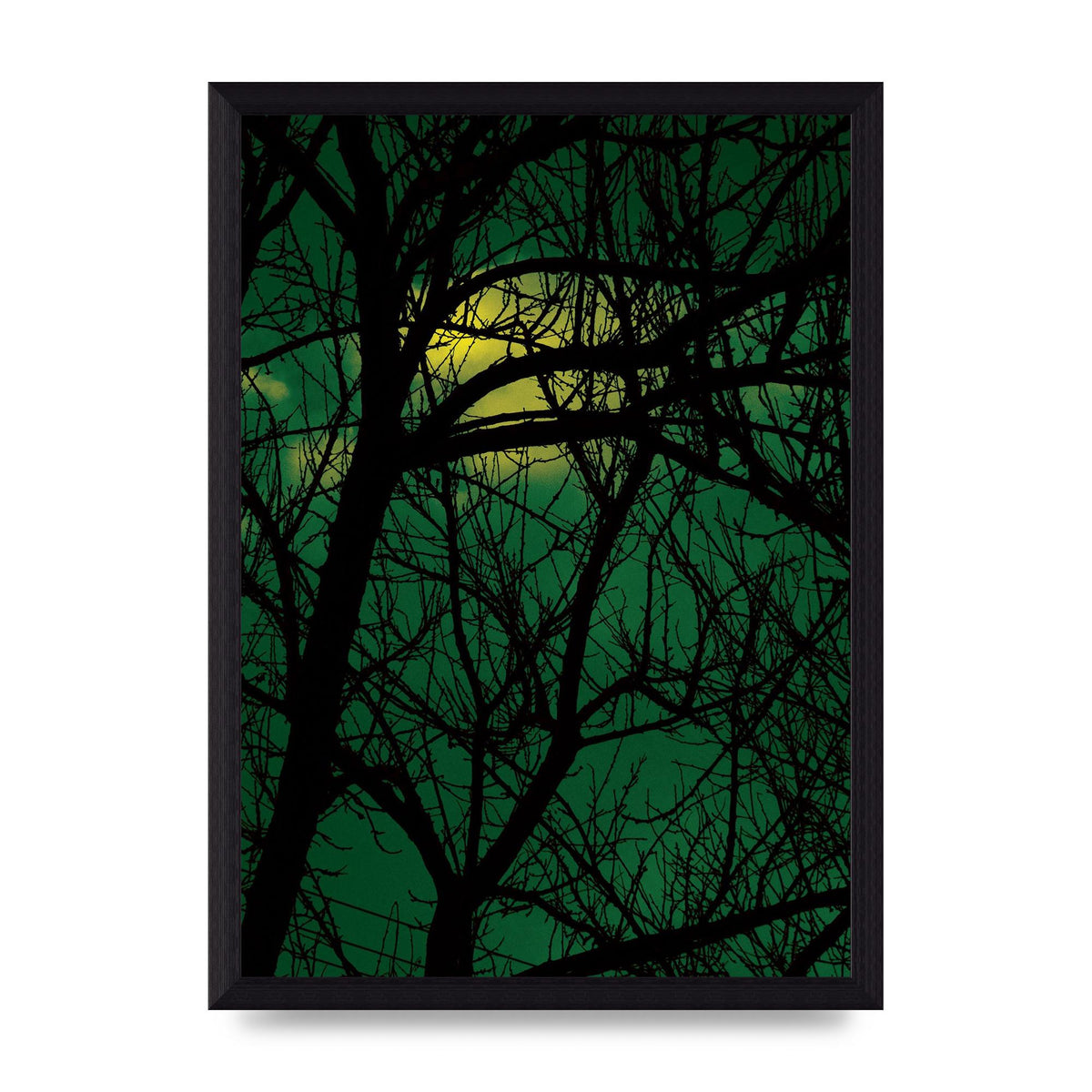 Sunset Through Trees Green Art For The Home - A4 framed