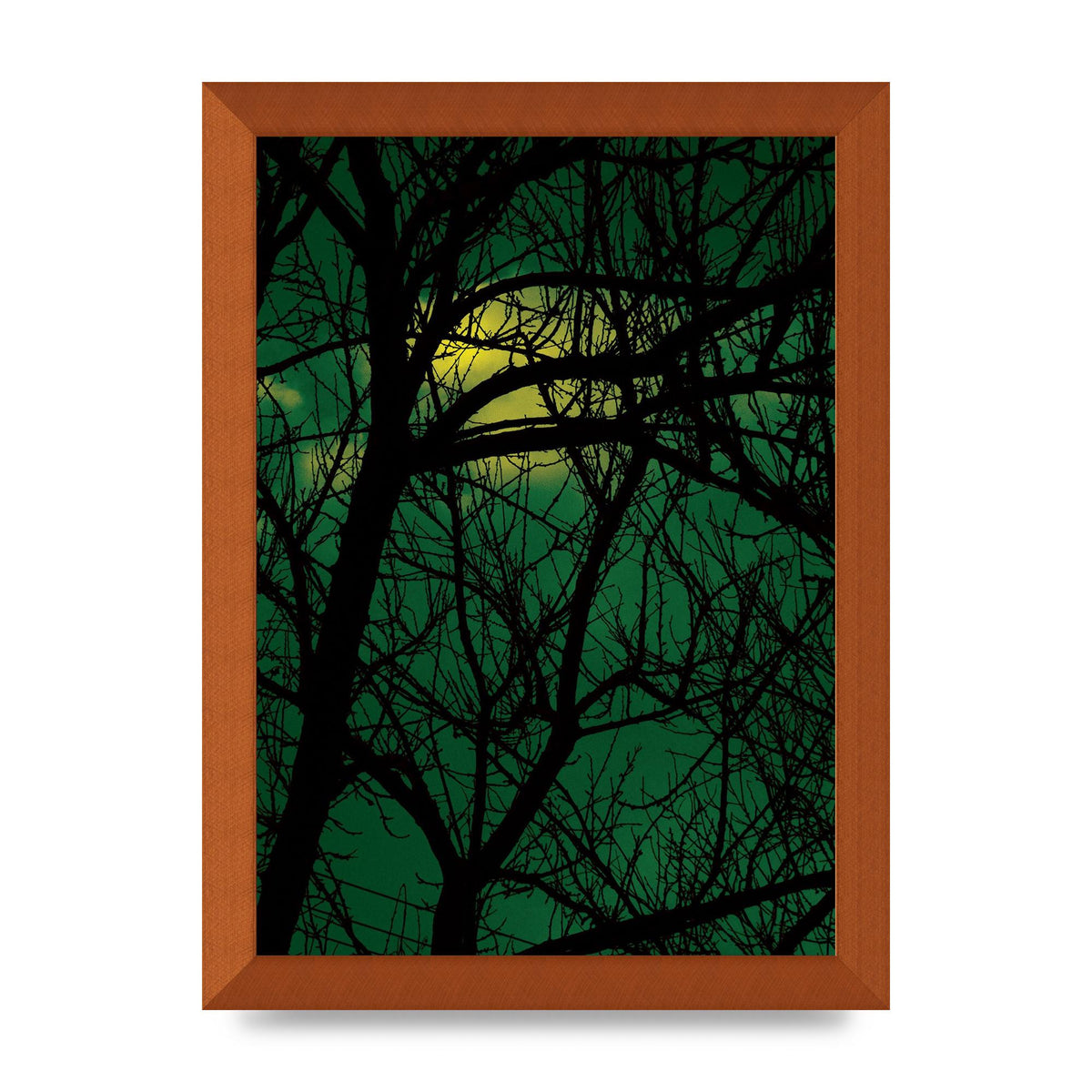 Sunset Through Trees Green Art For The Home - A4 framed