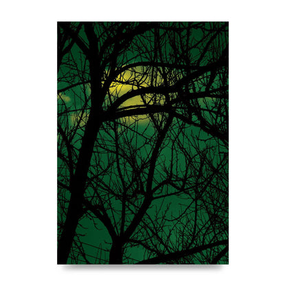 Sunset Through Trees Green Art For The Home - unframed print