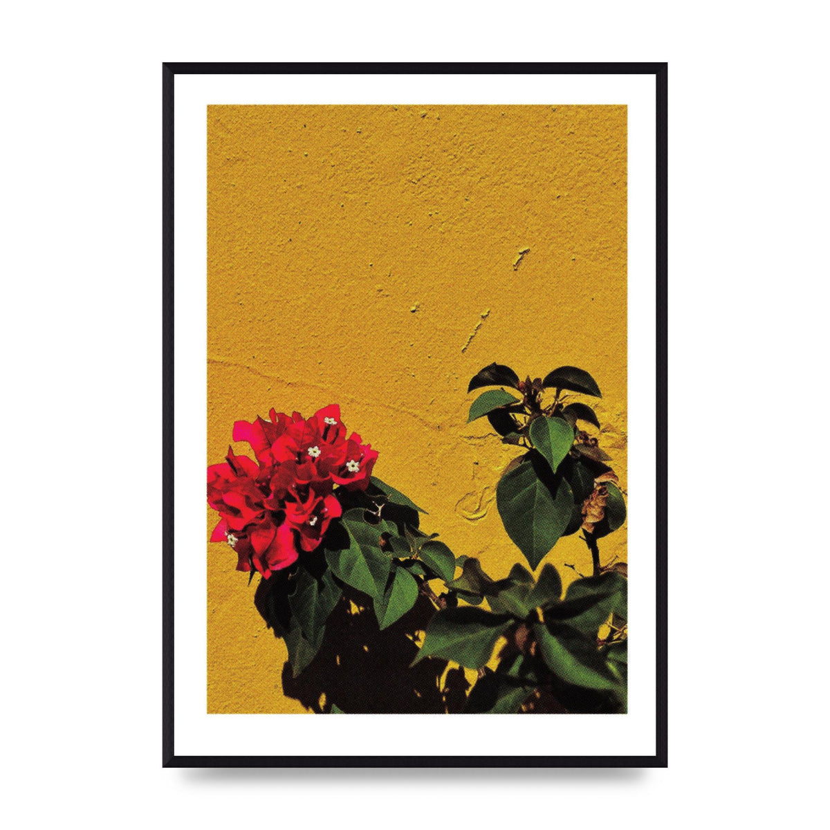 Spanish Flower Halftone Yellow Art For The Home - A2 framed