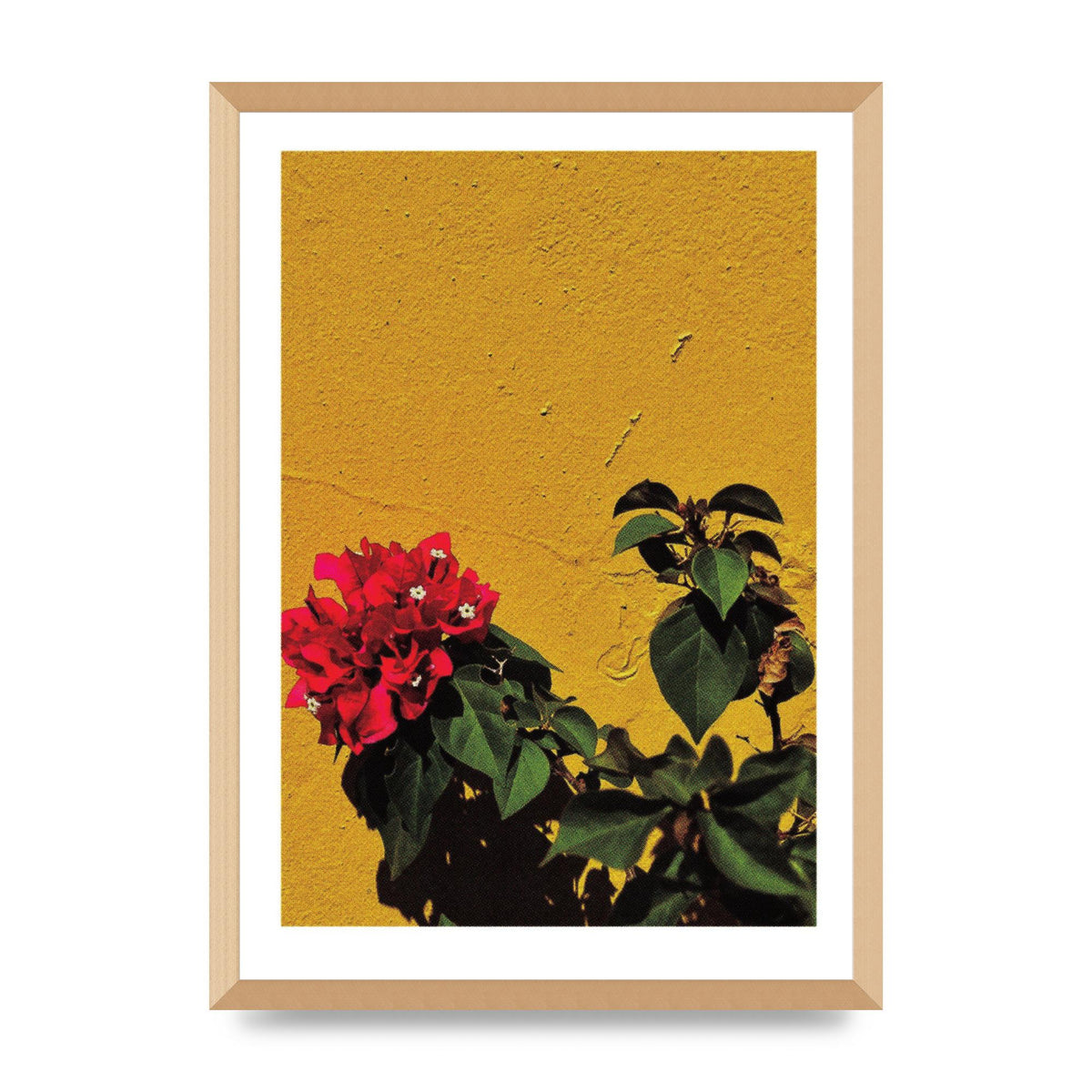 Spanish Flower Halftone Yellow Art For The Home - A2 framed