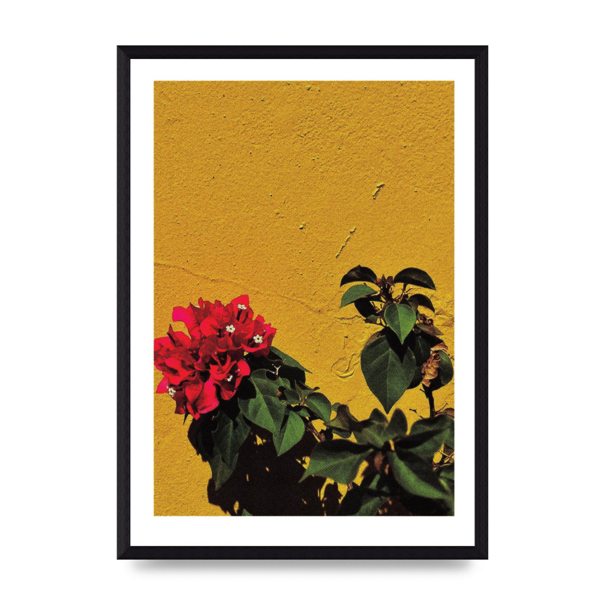 Spanish Flower Halftone Yellow Art For The Home - A3 framed