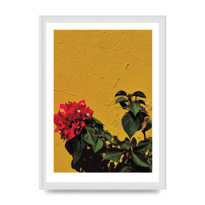 Spanish Flower Halftone Yellow Art For The Home - A3 framed