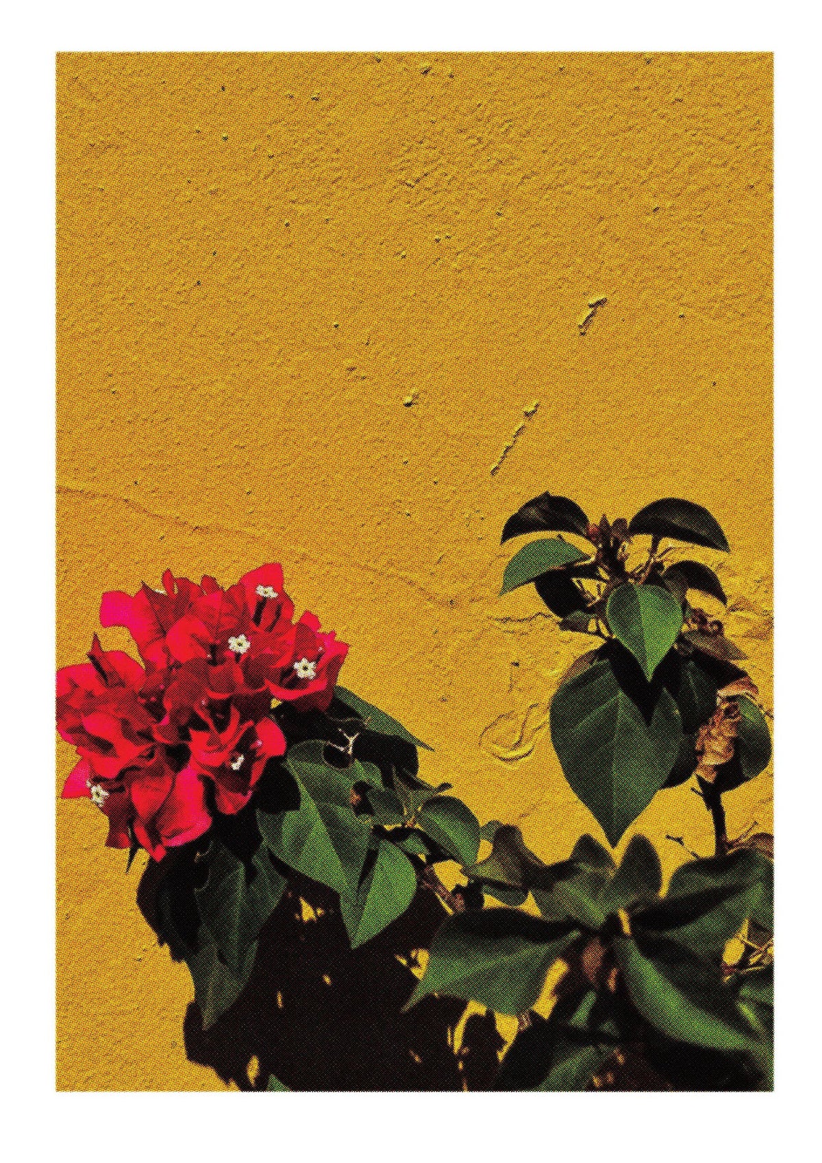 Spanish Flower Halftone Yellow Art For The Home - detail