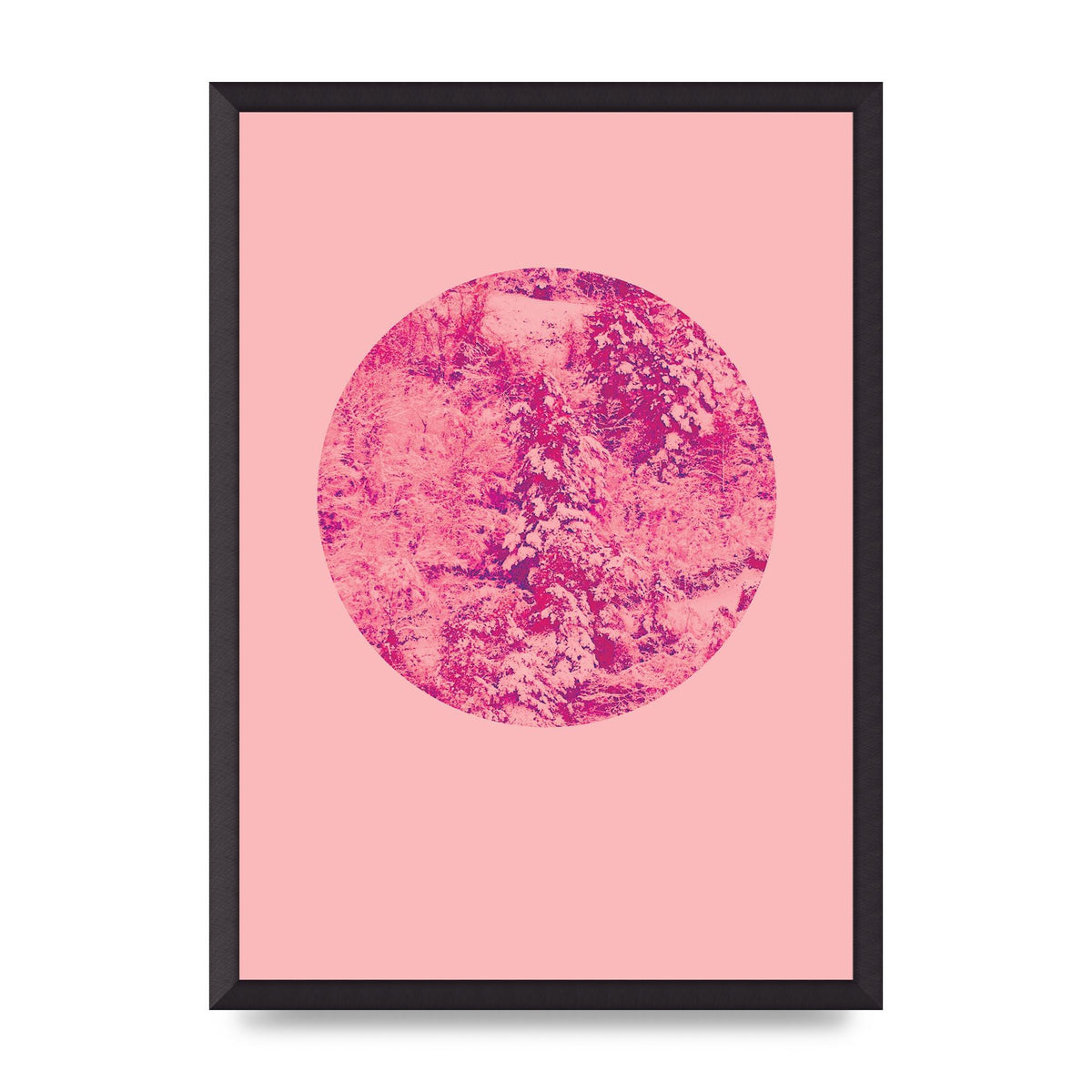 Pink Pattern Disc Art For The Home - A2 framed